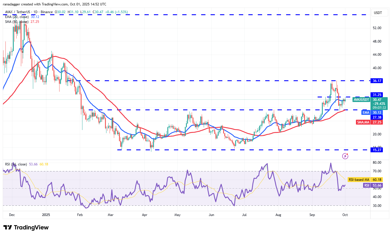 Dogecoin, Kryptocurrencies, Gold, Bitcoin Price, XRP, Cryptocurrency Exchange, Cardano, Price Analysis, Binance Coin, Chainlink, Market Analysis, Ether Price, Solana, Avalanche