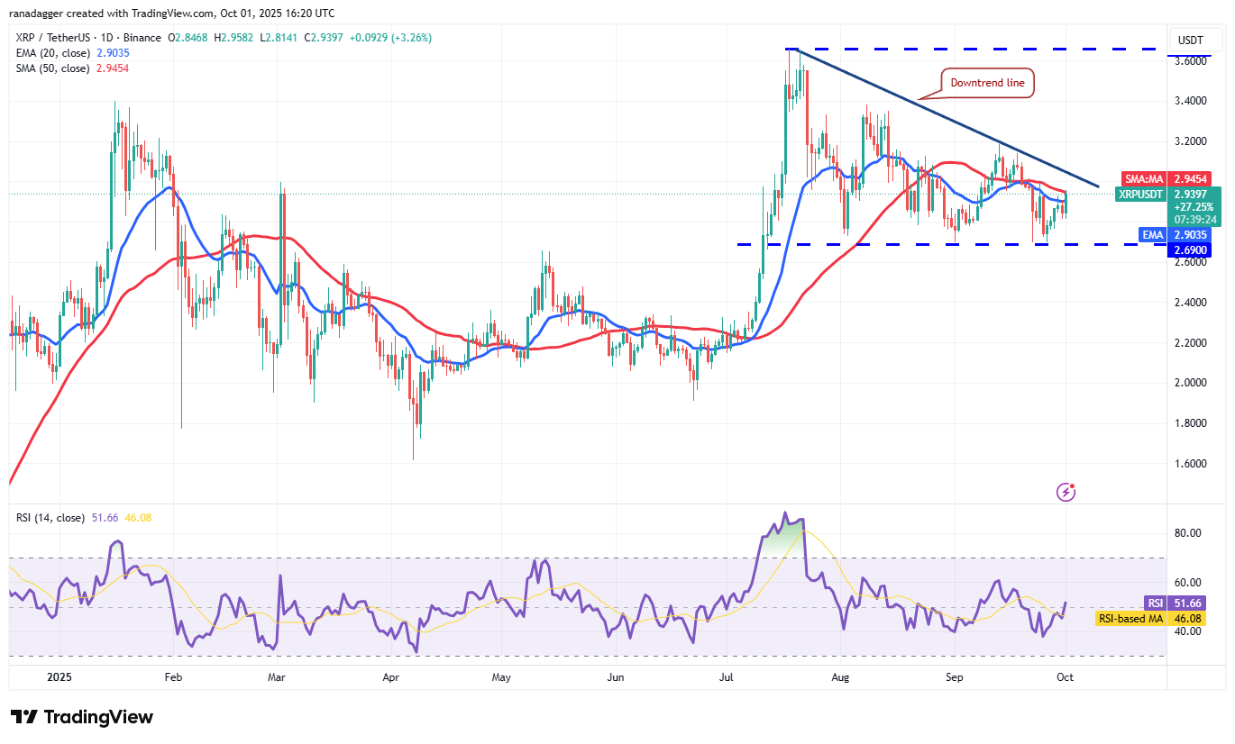 Dogecoin, Kryptocurrencies, Gold, Bitcoin Price, XRP, Cryptocurrency Exchange, Cardano, Price Analysis, Binance Coin, Chainlink, Market Analysis, Ether Price, Solana, Avalanche
