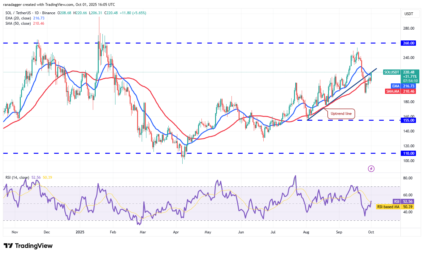 Dogecoin, Kryptocurrencies, Gold, Bitcoin Price, XRP, Cryptocurrency Exchange, Cardano, Price Analysis, Binance Coin, Chainlink, Market Analysis, Ether Price, Solana, Avalanche