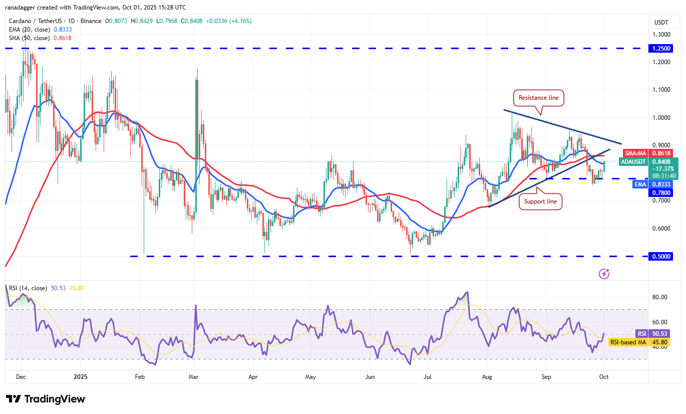 Dogecoin, Kryptocurrencies, Gold, Bitcoin Price, XRP, Cryptocurrency Exchange, Cardano, Price Analysis, Binance Coin, Chainlink, Market Analysis, Ether Price, Solana, Avalanche