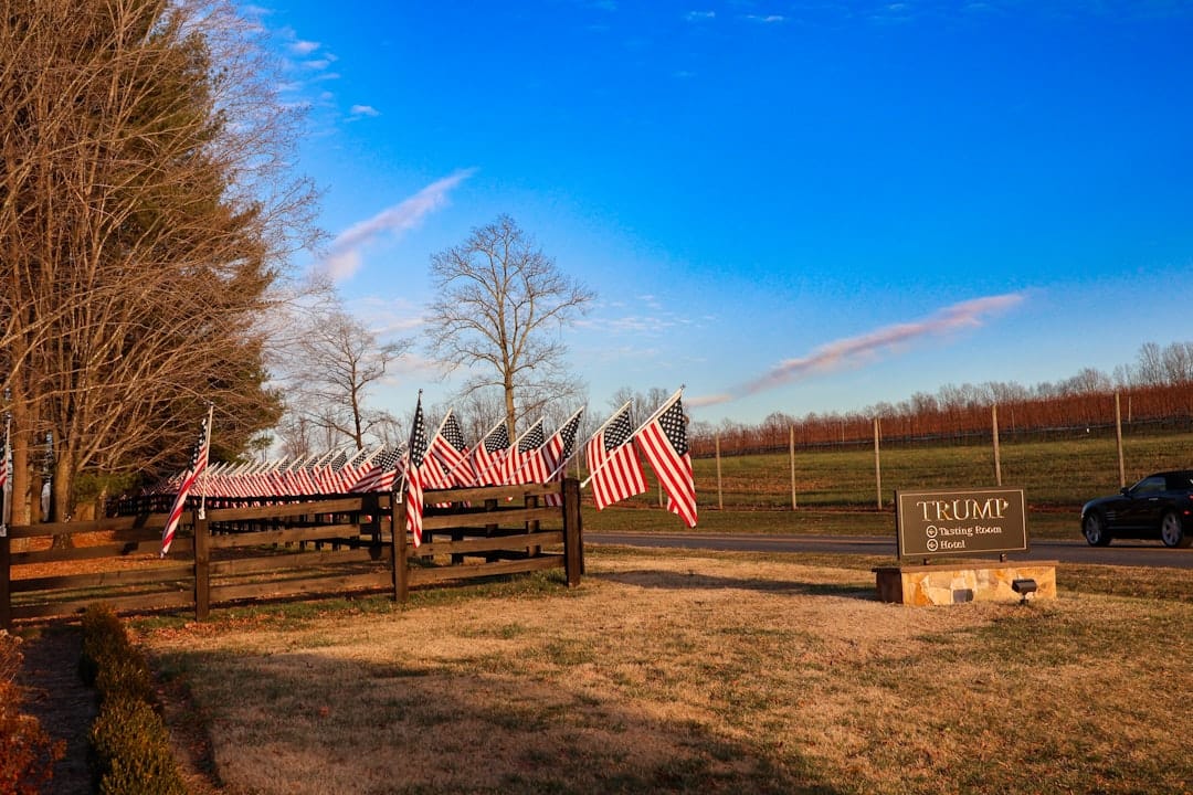 Резерв США: ADA стремительно набирает популярность на Bitrue