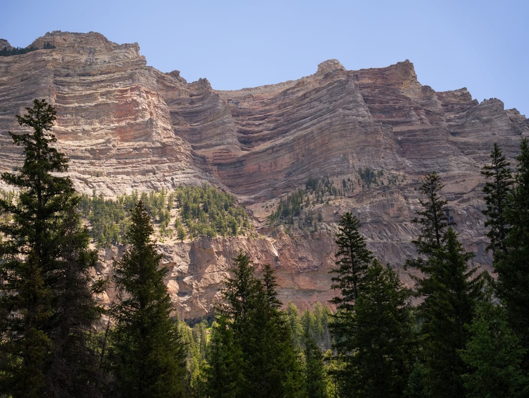 Вайоминг планирует выпустить собственный стейблкоин