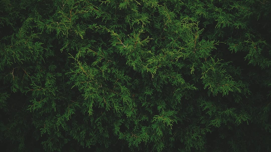 Coinbase расширяет свои лицензии в США