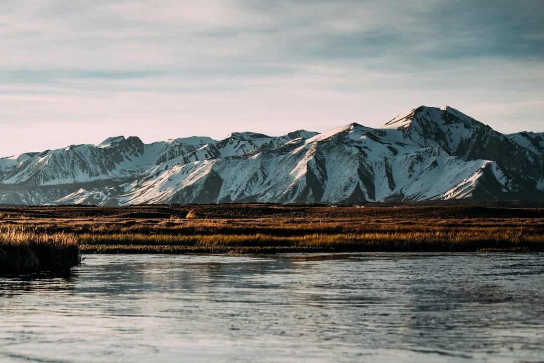 Атака мошенников на официальный Telegram-канал Monad перед запуском airdrop