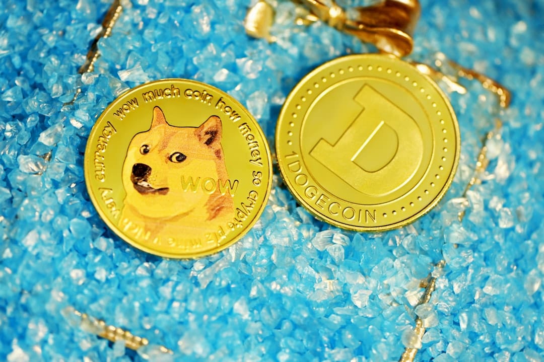 Будущее DOGE: рост или падение?