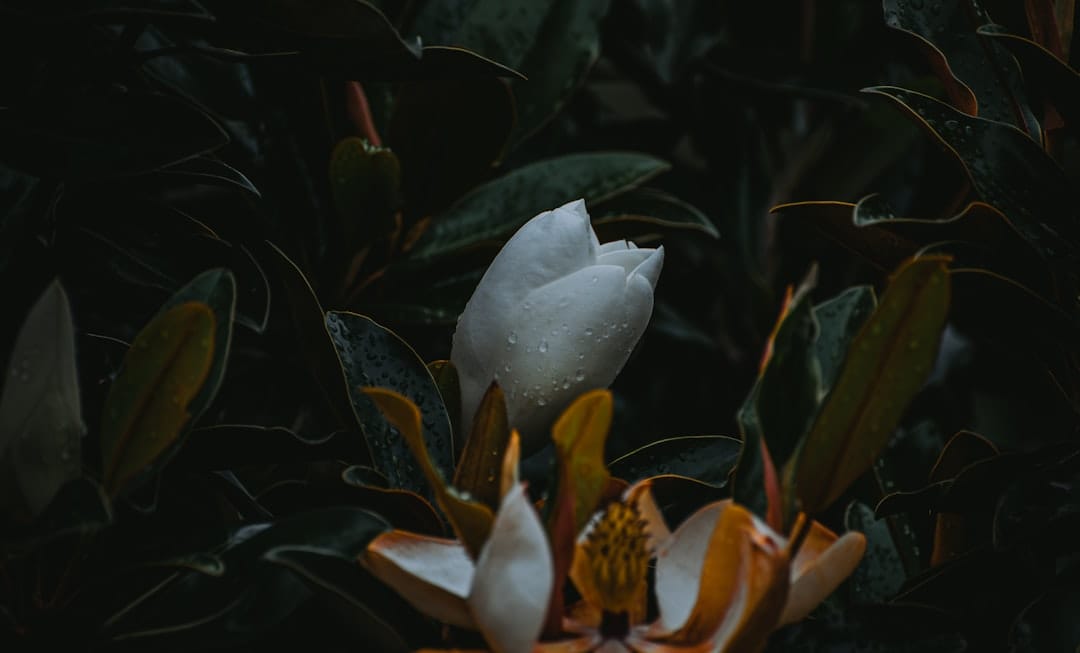 Сам Альтман столкнулся с новыми проблемами в Таиланде из-за проекта World