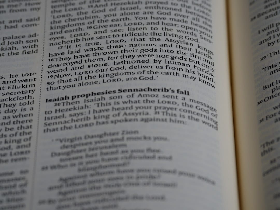 Илон Маск создал новую энциклопедию на базе ИИ