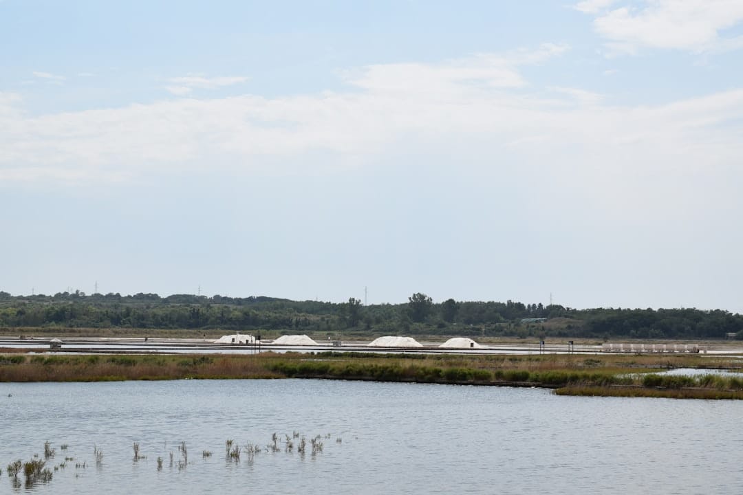 Инвестиции в Solana: Два пути к успеху