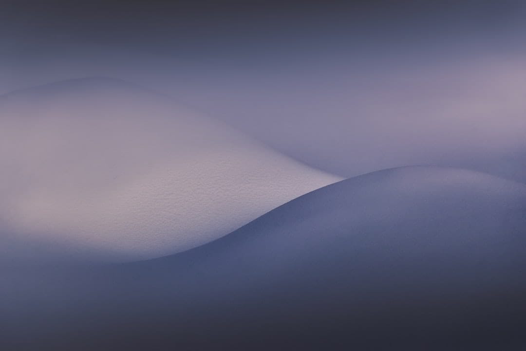 Все традиционные валюты станут стейблкоинами к 2030 году, считает сооснователь Tether