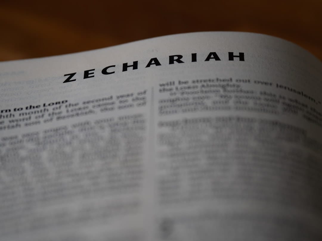 Резкое падение может ожидать Zcash после подъема цен на 1500% за два месяца