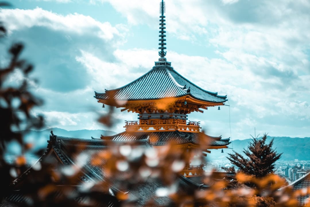 Эмитенты стейблкоинов в Японии могут заменить центральный банк в покупке облигаций