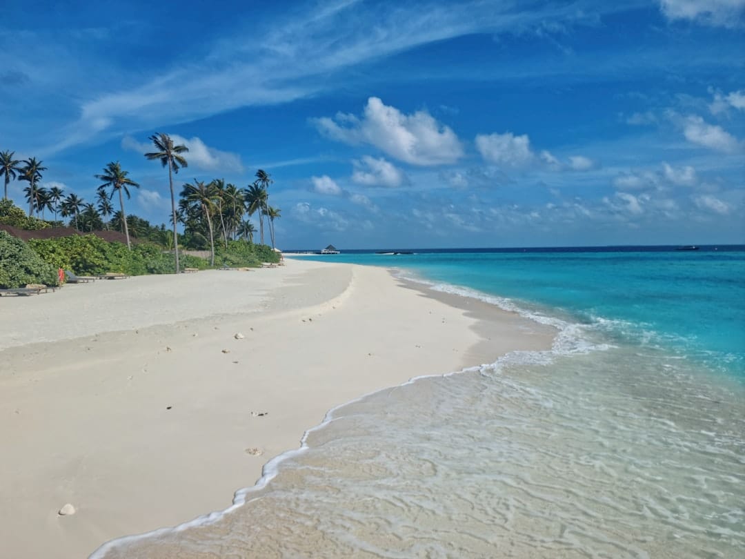 Трамп запустит токенизированный проект в Мальдивах