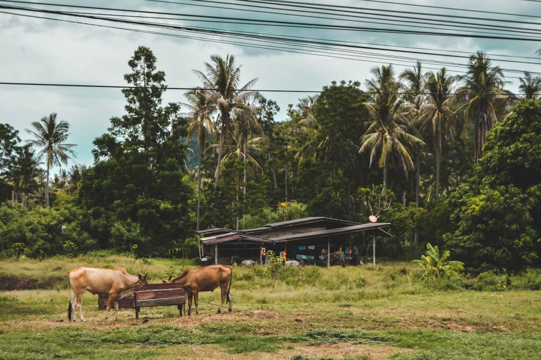 Таиланд требует от World Сэма Олтмана удалить миллионы данных пользователей