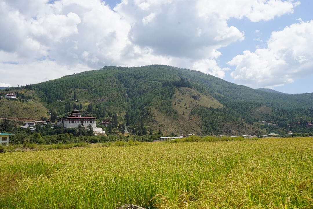 Бутан расширяет операции с криптовалютой через стейкинг