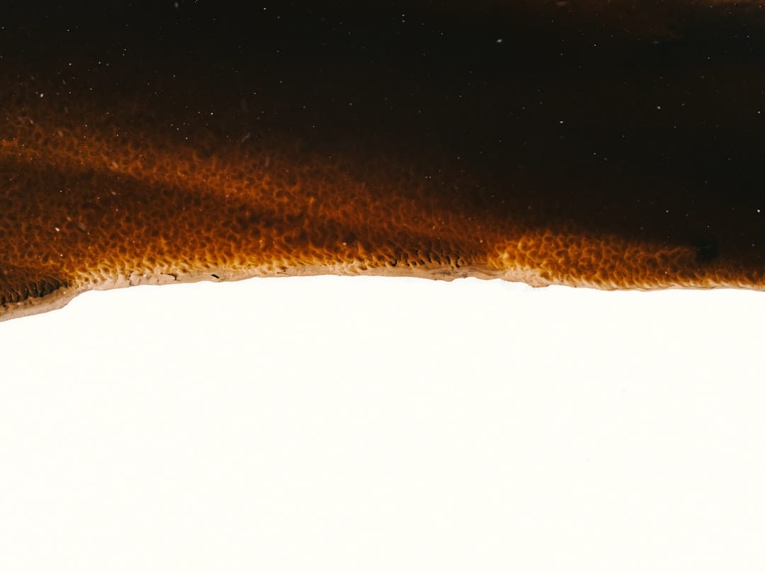 Ethereum завершает поддержку ZKsync Lite к 2026 году