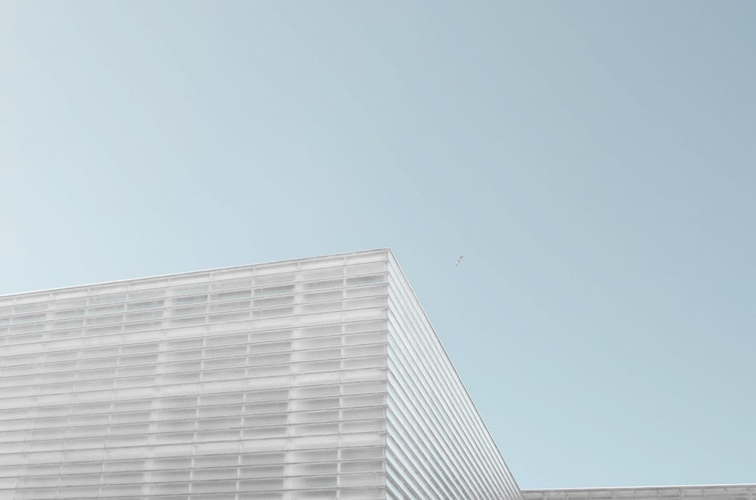 Интерес к Dogecoin ETF снижается на фоне лидерства Биткоина и Эфириума