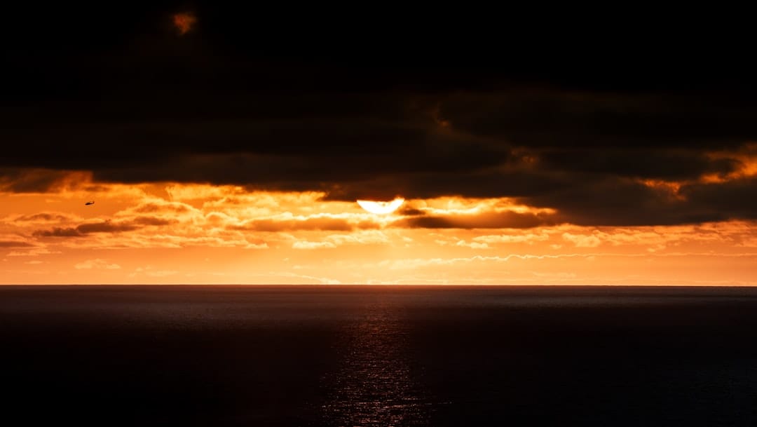 Kalshi использует Solana для токенизации контрактов на ставки