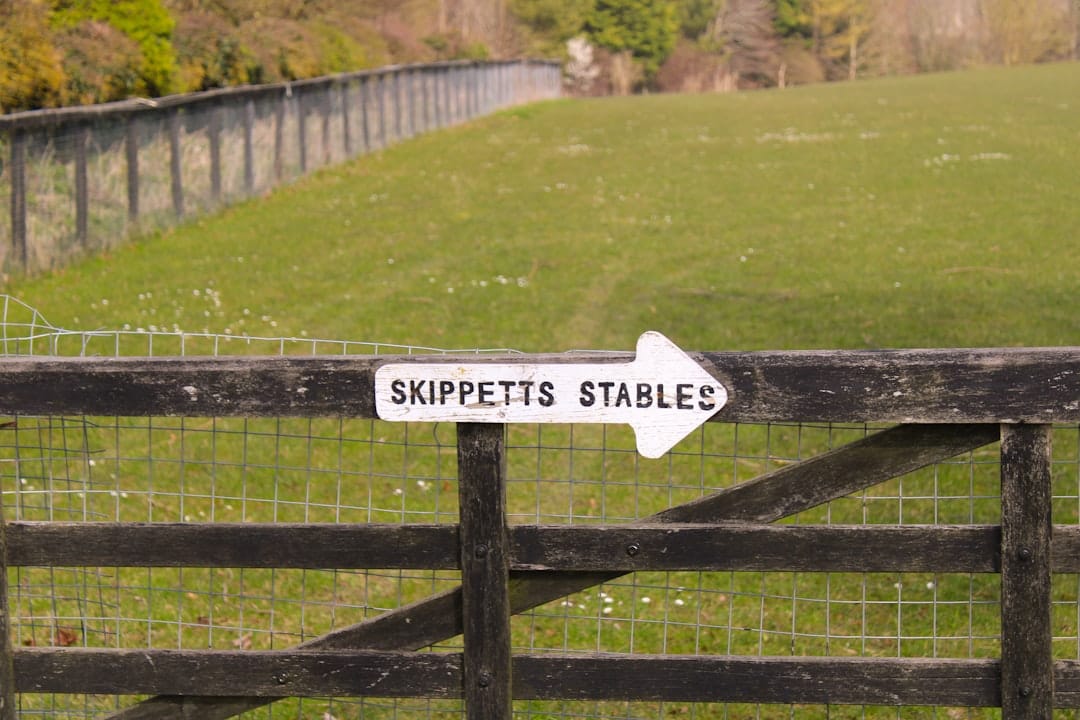 Телекоммуникационный гигант ОАЭ тестирует стейблкоин для оплаты счетов