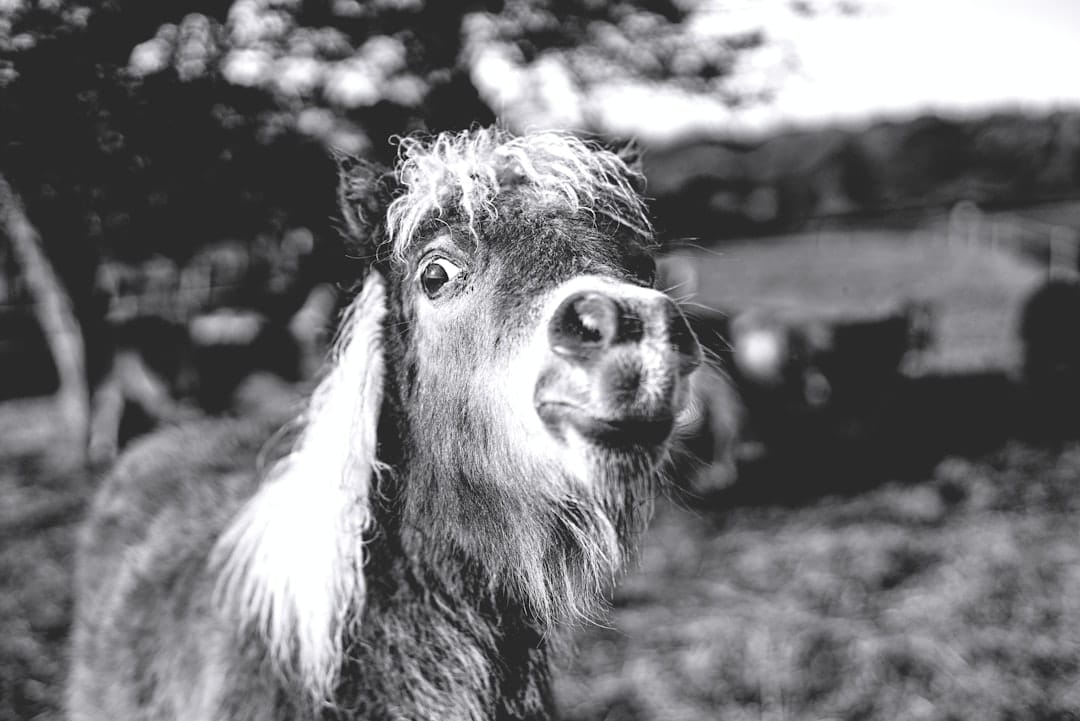 Новый комедийный фильм Netflix о забытом пароле к криптовалюте