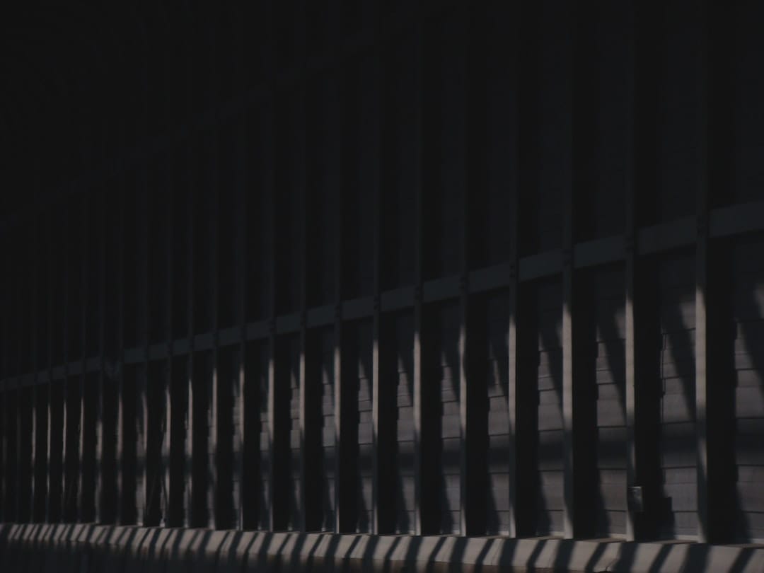 Оптимизм вокруг XRP набирает обороты на фоне продолжения притока в ETF