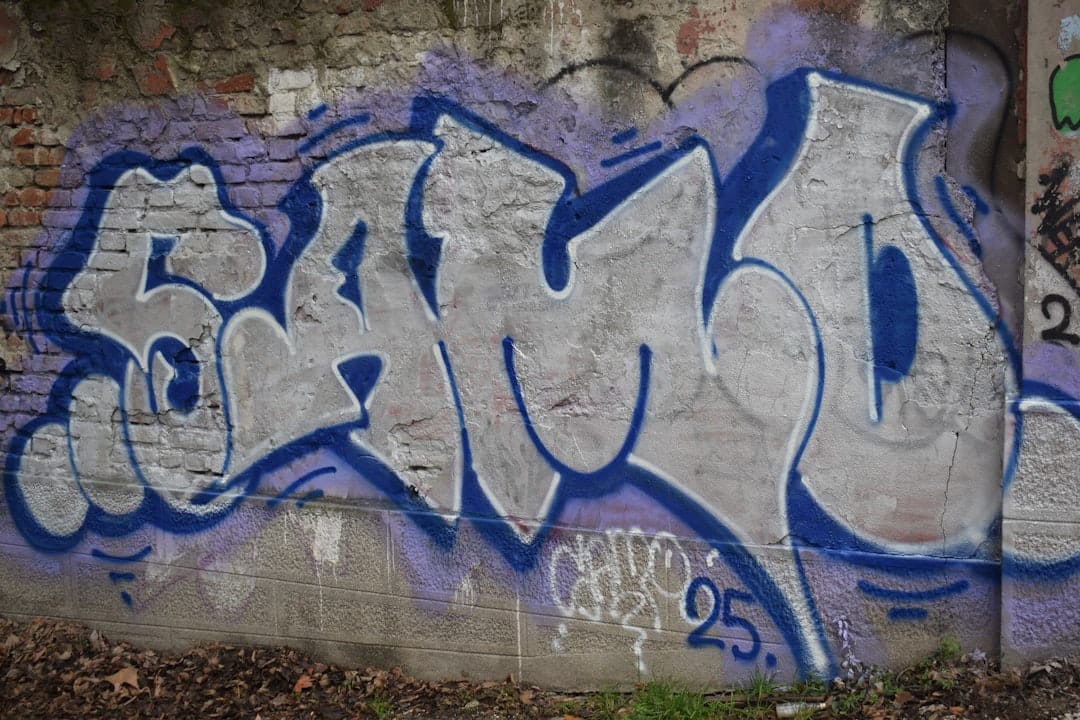 Интерес к Zcash вызван ротацией капитала