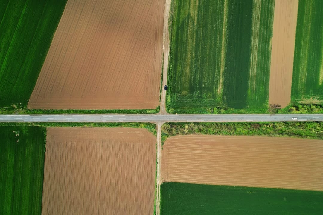 Спред доходностей гособлигаций США достиг максимума с 2021 года: риск для биткоина?