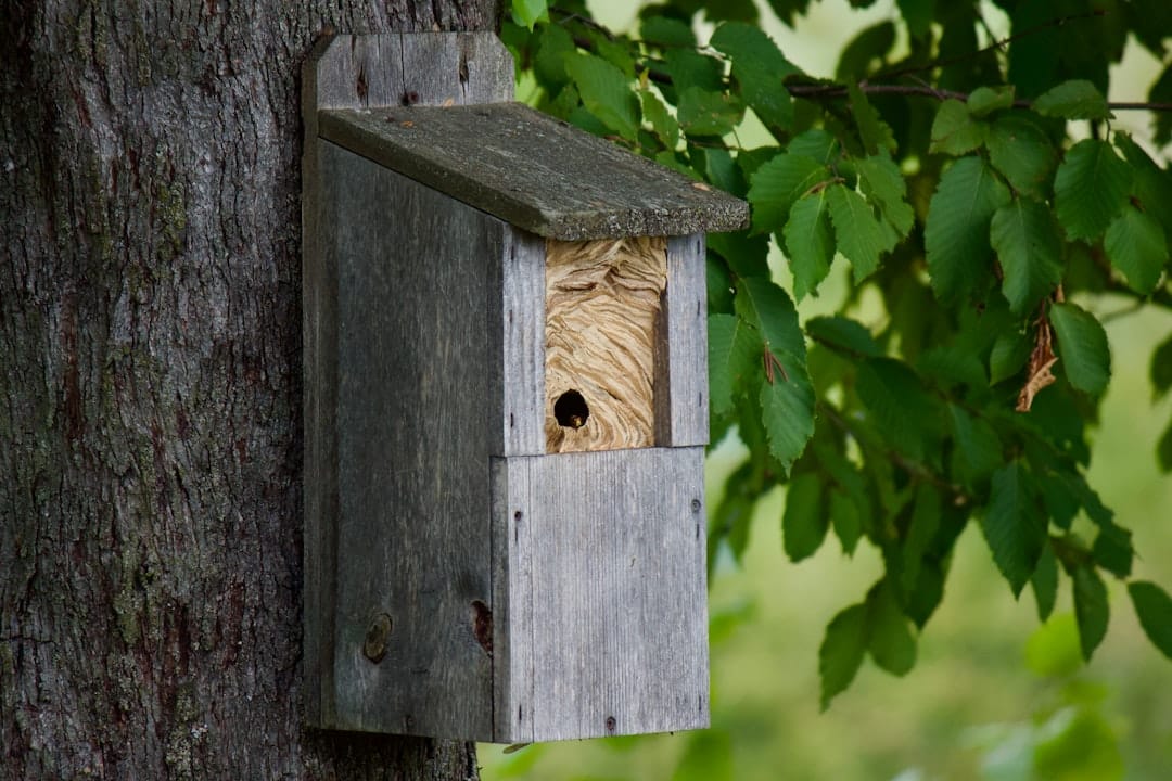 Во Франции задержали троих подозреваемых после попытки ограбления дома руководителя Binance France