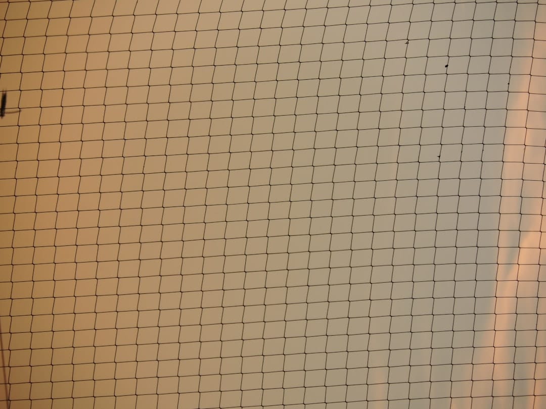 Данные по Solana указывают на устойчивость сети, но остается вопрос — недооценен ли SOL?