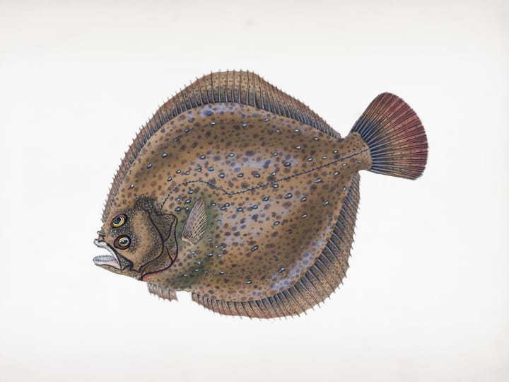 Системы идентификации должны быть доступны для всех