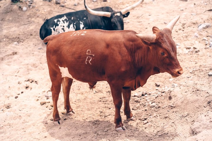 Рост акций eToro после отчетов за третий квартал и программы выкупа акций на $150 млн