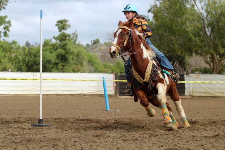 Крупный оператор фэнтези-спорта выходит на рынок прогнозов с Polymarket