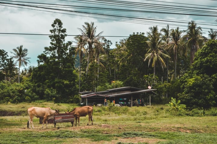 Таиланд требует от World Сэма Олтмана удалить миллионы данных пользователей