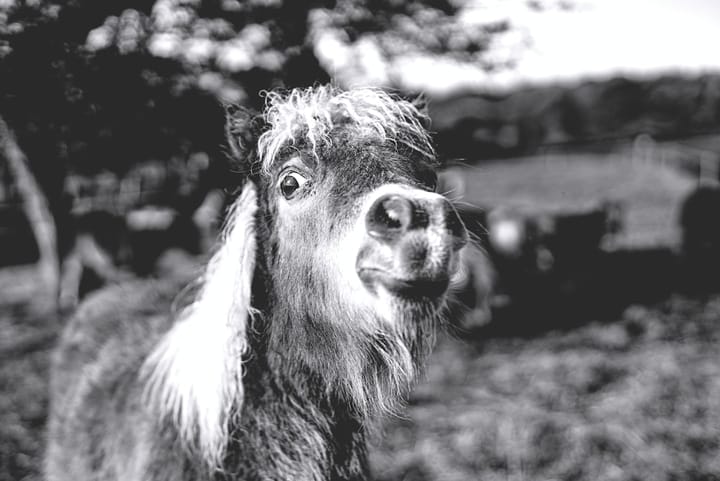 Новый комедийный фильм Netflix о забытом пароле к криптовалюте