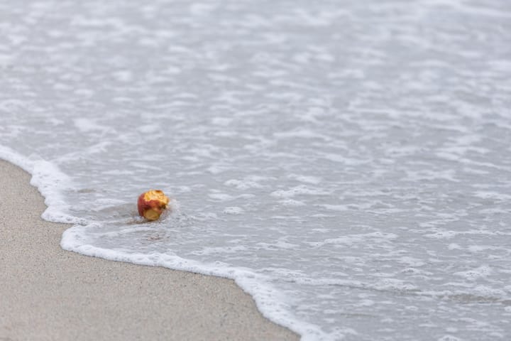 Прогноз цен на 30 января: BTC, ETH, BNB, XRP, SOL, DOGE, ADA, BCH, HYPE, XMR