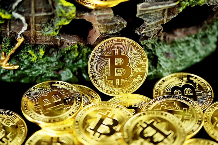 Доля биткоина у крупных держателей упала до минимума за 9 месяцев на фоне снижения цены