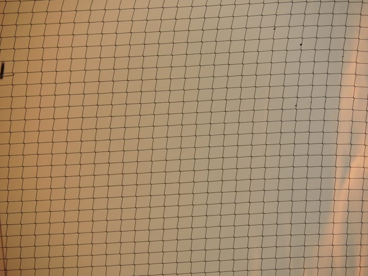 Данные по Solana указывают на устойчивость сети, но остается вопрос — недооценен ли SOL?