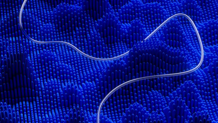 Morgan Stanley подала заявку на банковскую лицензию OCC для хранения криптоактивов